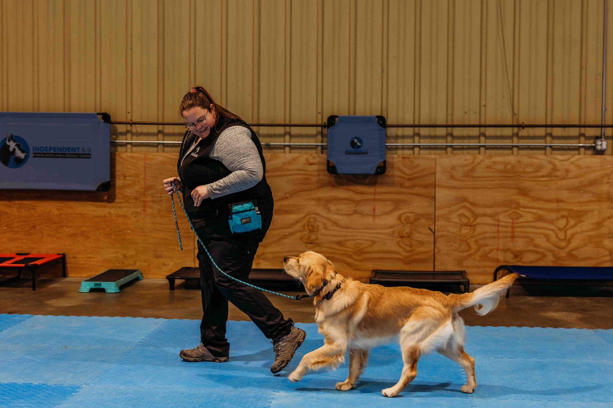 Trainer heeling a dog across the training floor