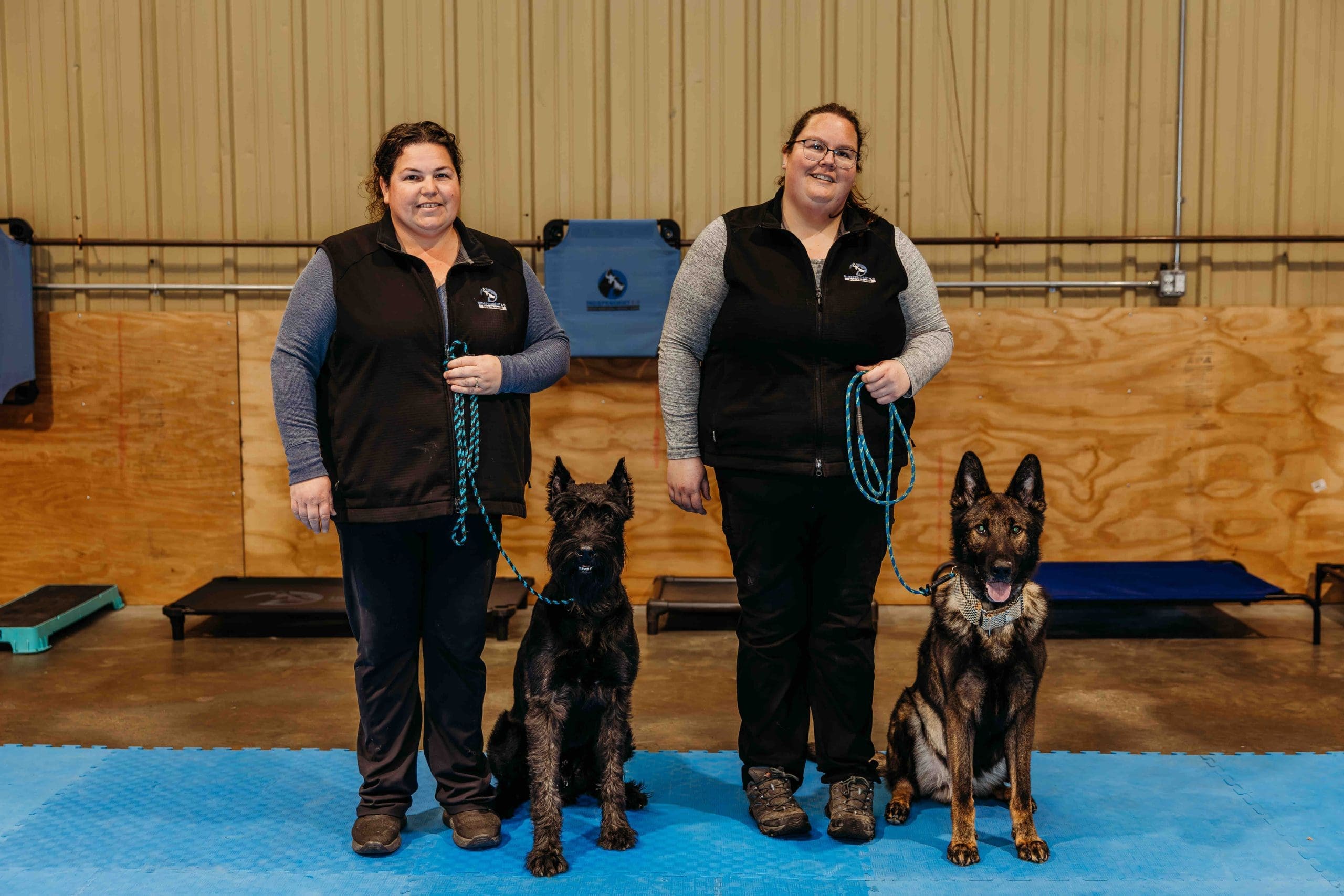 Two handlers in black uniforms stand with two German Shepherd dogs on a blue mat inside a wooden indoor arena during what appears to be a dog training or competition event.