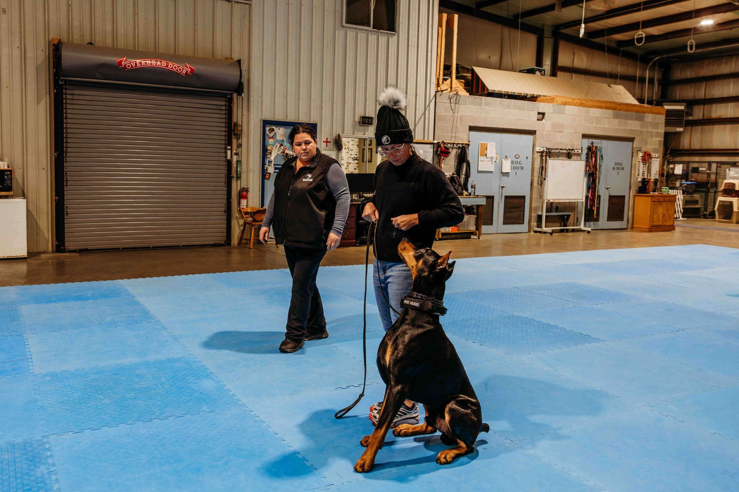 Certified master trainer working with a Doberman during a training session at Independent K-9 in Martinsburg, WV