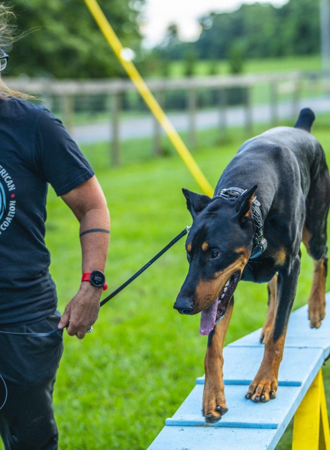 A handler guides a black and tan dog over a yellow agility obstacle on a grass field during a dog training workshop.